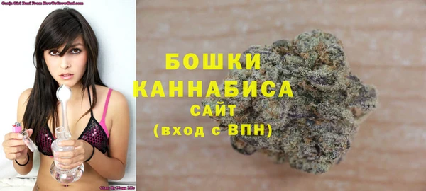 стаф Богородск