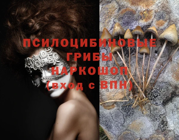 ALPHA PVP Беломорск