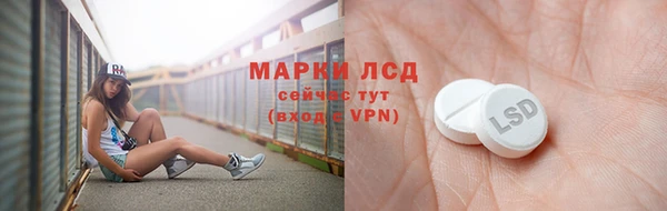ECSTASY Богородицк