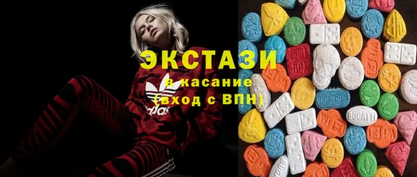 ECSTASY Богородицк