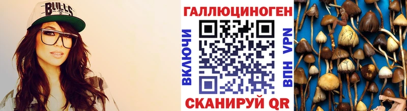 даркнет официальный сайт  Светогорск  Псилоцибиновые грибы мухоморы  ссылка на мегу ONION 